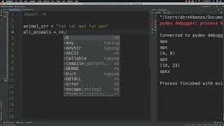 Regular Expressions Introduction in python by CodingXpertz