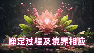 天星无际：禅定证量及药师中脉观