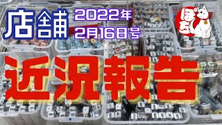 【近況報告】ホビーランドぽち 店舗入荷情報をサクッと紹介【2022/2/16】