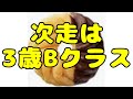 【youtuberヒカルの馬】ヒメノタヅナ2勝目 賞金は