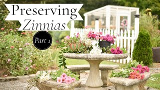 Preserving Zinnias// How I Dry and Press Flowers, Part 1