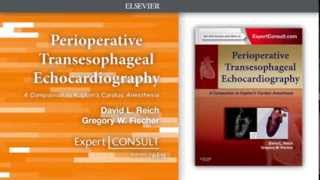 Perioperative Transesophageal Echocardiography