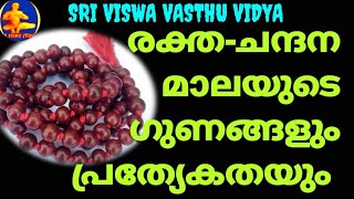 Red Sandal Wood Mala || ജപമാല || രക്തചന്ദന മാലയുടെ പ്രത്യേകതയും ഗുണവും || SRI VISWA VASTHU VIDYA