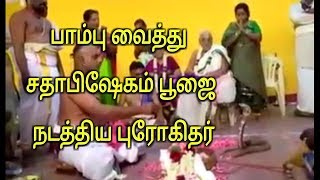 பாம்பு வைத்து சதாபிஷேகம் பூஜை நடத்திய புரோகிதர் snake pooja