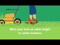 Mow High To Retain Moisture — Water Conservation
