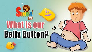 What Is Our Belly Button??