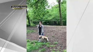Woman Fired After Viral Central Park Confrontation | NBC New York