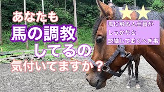 399.これを知らない人が馬をダメにする