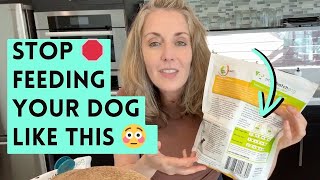 The Simple Technique I Use To Manage My Dog's Weight & Health