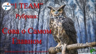 Сова о самом главном  Холестерин ужасный или компонент необходим. Верстор, Цистор, Маринж. 06.04.23