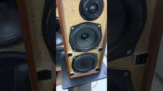 Phận buồn con gái do ca sỹ Trang Mỹ Dung đc Amply AlBAstereophonic cùng loa Celestion Ditton 25