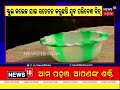 odia news ପଡ଼ୋଶୀଙ୍କୁ ପାଣି ନିରିହ ପକ୍ଷୀଙ୍କ ଜୀବନ ବଞ୍ଚାଇବା ପାଇଁ ପ୍ରୟାସ