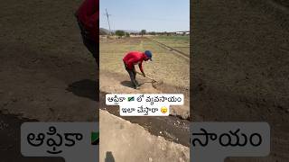 ఆఫ్రికా లో 🇹🇿 వ్యవసాయం 🧑‍🌾 || Farming Africa Tanzania 🇹🇿 [Ram The Traveller]