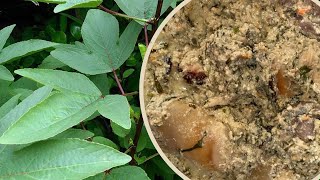 HOW TO COOK SIERRA LEONE SORREL SOUP / SAWA-SAWA and Egusi