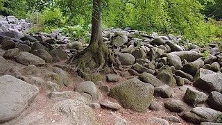 Visiting the Rock Sea in Germany // Felsenmeer