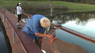 Dock Fishing with my DEAR and my DEER!