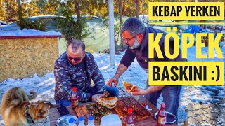 ETOLOG FATİH USTA - KEBAP YERKEN KÖPEKLER BASTI ☺️   #salaş #mekan #lezzet #adanakebabı #gaziantep