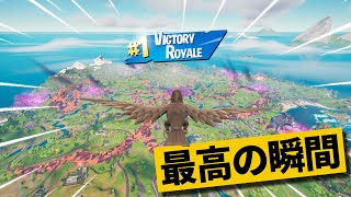 【最高の瞬間40選】最後の敵がカラスなんだけどｗ神業面白プレイ最高の瞬間！【Fortnite/フォートナイト】