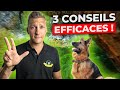 🎁 Comment Améliorer le RAPPEL de Ton Chien Facilement ? 3 CONSEILS EFFICACES (et un BONUS…)