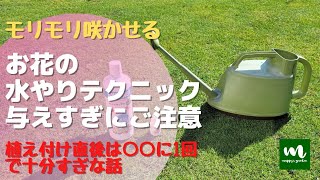 【初心者必見】水やりでこんなに変わる！モリモリ咲かせるならこの方法【与え過ぎはNGな理由】