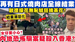 再有日式燒肉店全線結業？內地借M巾恐怖騙案疑殺入香港？19-2-2025