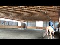 how to ride with double reins