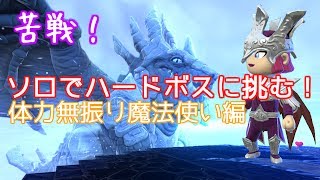 【ゲーム実況】 Part.38 ソロでハードボスに挑む！！魔法使い編【ポータルナイツ（Portal Knights）】