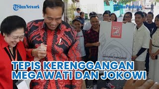 Sekjen PDIP Tepis Kerenggangan Megawati dan Jokowi: Politik Jangan Dilihat yang Tampak di Permukaan