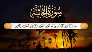 45 - سورة الجاثية بالترتيل العراقي رمضان ١٤٤١ هـ | أحمد بن عبدالعزيز النفيس