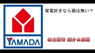 【9831】　家電量販店の巨人が現れた！　【ヤマダ電機】