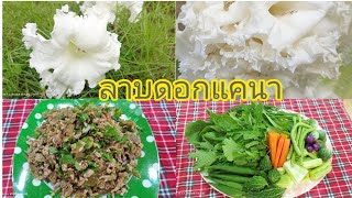 ลาบดอกแคนา