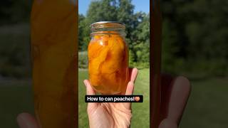 HOW TO CAN PEACHES for long term food preservation!🍑 #canning #peaches #homestead #easy