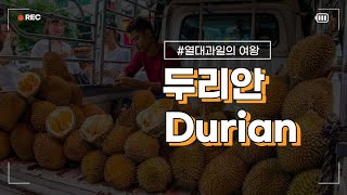 열대과일의 왕 두리안(Durian) 맛을 아시나요? King of Tropical Fruit