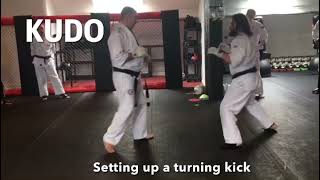 Kudo - setting up a turning kick