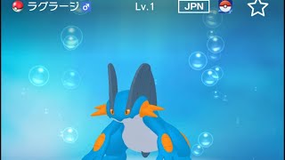 【正規】レベル1ラグラージが爆誕した。【ポケモンHOME】