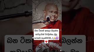 ලොභ නැතුව subscribe කරන් යමු         බුදු සරනයි…! 🙏☸️❤️