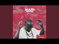 Mari yePaper
