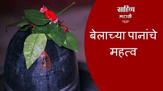 बेलाच्या पानांचे महत्व | Importance Of Bel Patra While Worship Lord Shiva | Sahitya Marathi