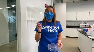 Biomedical Engineering Labs Tour