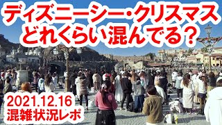 Vlog風遅報レポ・クリスマスが近づいてきて混雑を増してきた東京ディズニーシーの様子（2021-12-16）