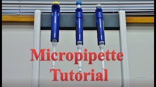 Micropipette Tutorial - BU Biology Department