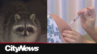 Changes to rabies treatment in the city