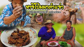 หาจิโป่ม ไม่คิดว่าจะได้เยอะขนาดนี้ !! | อร่อยนัวร์