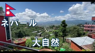 【🇳🇵Vlog】ネパール　山と遺産に癒される一日。　2024年8月25日