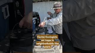 What does vector control do for black flies? #mosquitocontrol #vectorControl