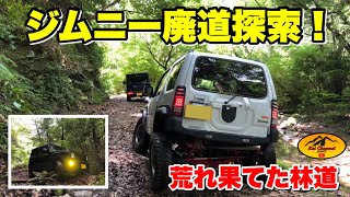 ジムニー廃道探索！荒れ果てた林道