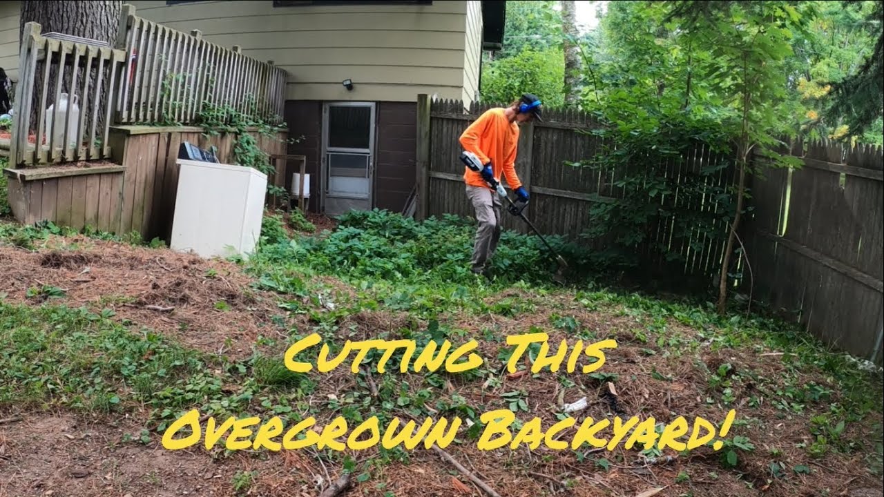 Cutting This Overgrown Backyard Youtube