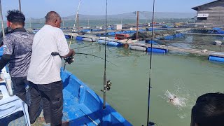 30/01/2025 Trip Mancing at Sangkar Sungai Udang Penang