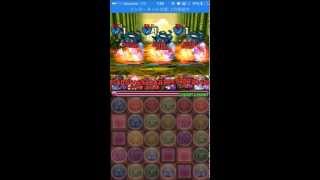 【パズドラ】アンケートダンジョン１１　光の追跡者　超級【高速周回】