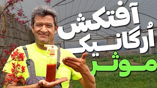 آموزش ساخت آفتکش ارگانیک خانگی| خیلی ساده یک آفتکش موثر بساز